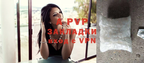 spice Арсеньев