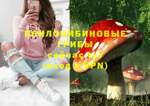 ПСИЛОЦИБИНОВЫЕ ГРИБЫ Аркадак
