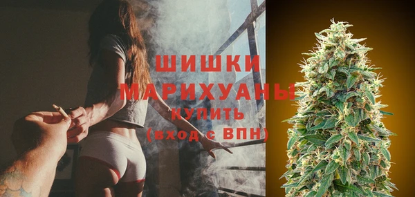 spice Арсеньев